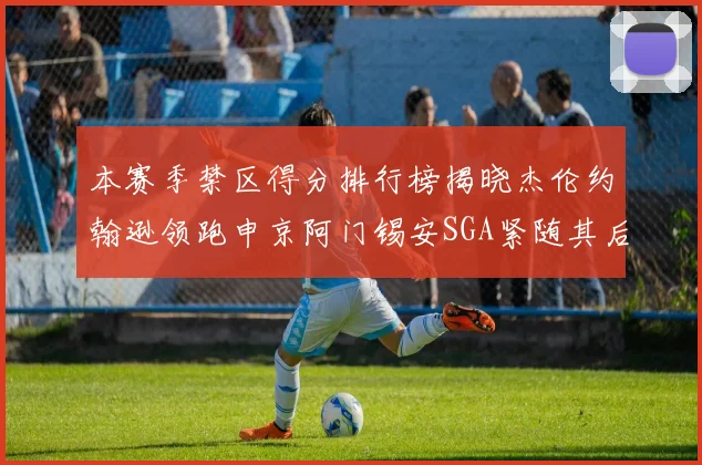 本赛季禁区得分排行榜揭晓杰伦约翰逊领跑申京阿门锡安SGA紧随其后