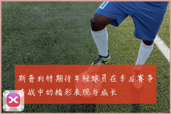 斯普利特期待年轻球员在季后赛争夺战中的精彩表现与成长