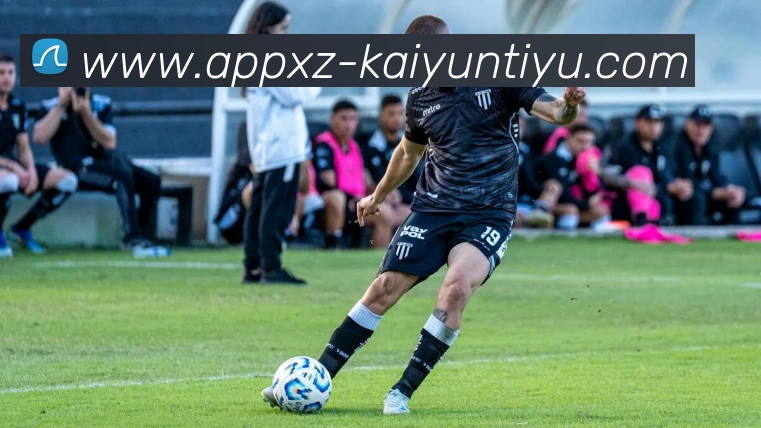 App Interface Preview