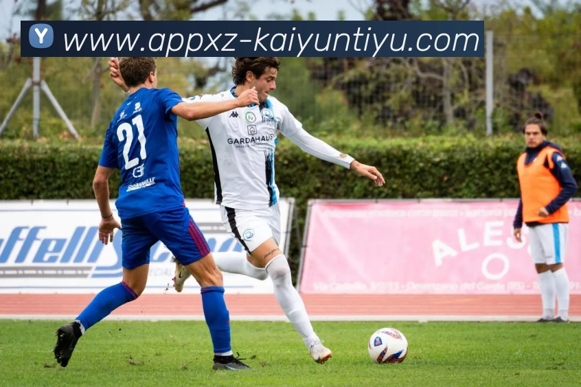 开云体育APP 封面图