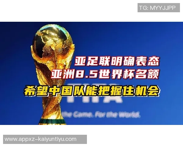 亚洲足球强队出炉八支球队直通世界杯两队争夺最后名额